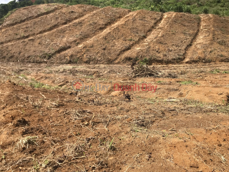 đ 1.1 Billion | BEAUTIFUL LAND - GOOD PRICE - Tri Dep Land Lot for Sale in Loc Bao Commune, Bao Lam, Lam Dong