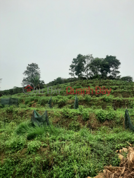 ₫ 5.5 Billion | LAND FOR SALE IN BAO LOC - LOC THANH - LAM DONG - 0984967076