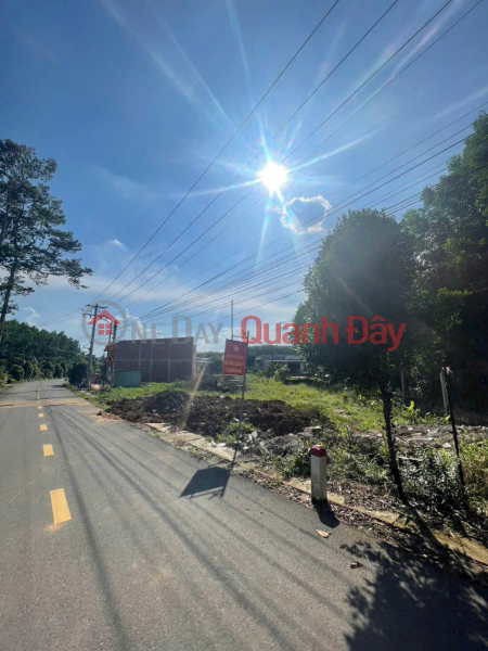 2 LÔ LIỀN KỀ MẶT TIỀN KINH DOANH NGAY CHỢ BÌNH LỢI – 290M2 CHỈ 1 TỶ 550 TL Niêm yết bán