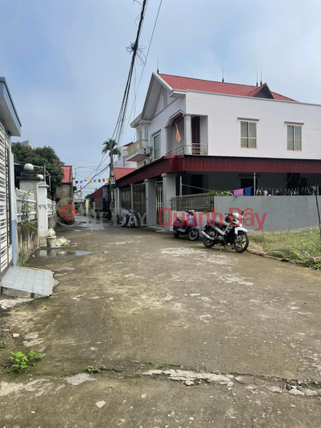 Super nice plot of land in Cat Linh car alley, Hai An Sales Listings
