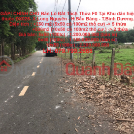 SELL URGENTLY! OWNER Sells Split Plot F0 In Bau Bang, Binh Duong Province _0