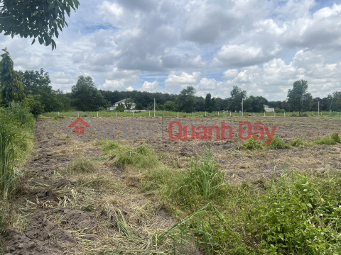 Urgent Sale of Land Plot next to District People's Committee, Residential Land, Ready Book! _0