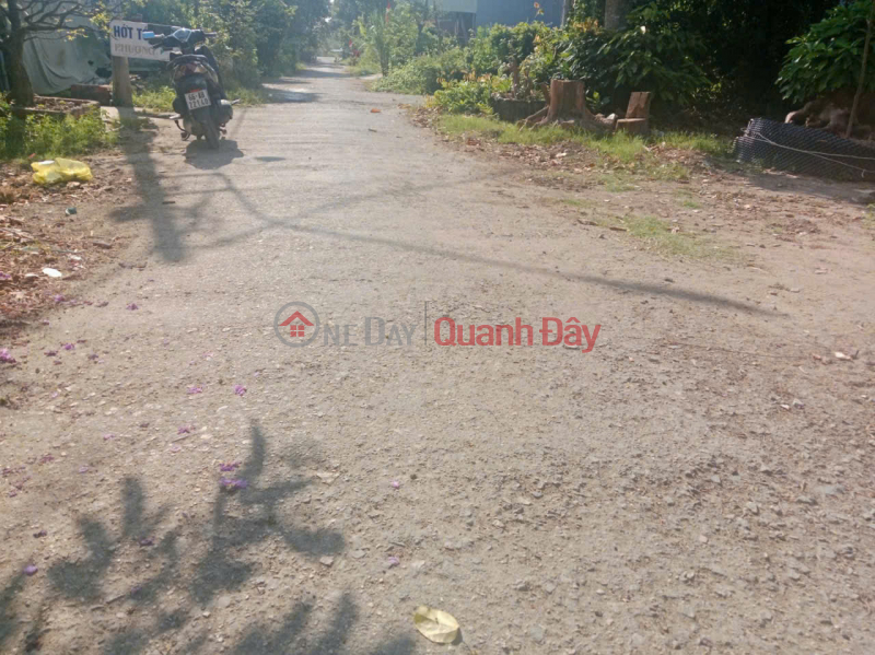 Property Search Vietnam | OneDay | Residential | Sales Listings Land for sale in Lang Bien Market, Thap Muoi, Dong Thap - Area 4.5x18m, actual usable area 32m² - 100m from the old People's Committee building.