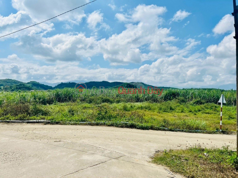 Property Search Vietnam | OneDay | | Sales Listings Đất làm fam Diên Đồng