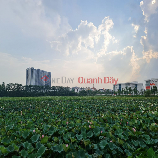 Owner urgently needs to sell a plot of land in the Trau Quy resettlement area, Gia Lam, Hanoi. Contact 0989894845, Vietnam Sales | đ 6.45 Billion