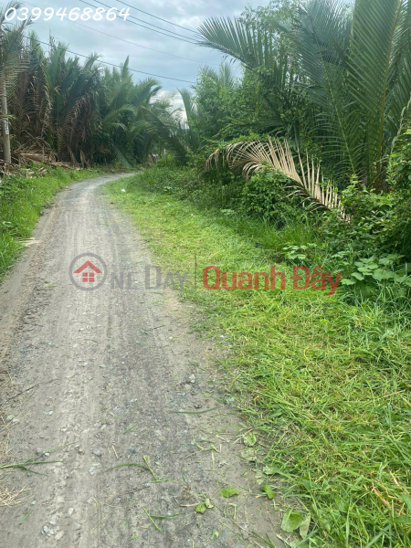 Urgent sale of beautiful land at the lowest price in An Thoi Dong area, Can Gio - 6,378m2, Vietnam Sales, đ 22.32 Billion