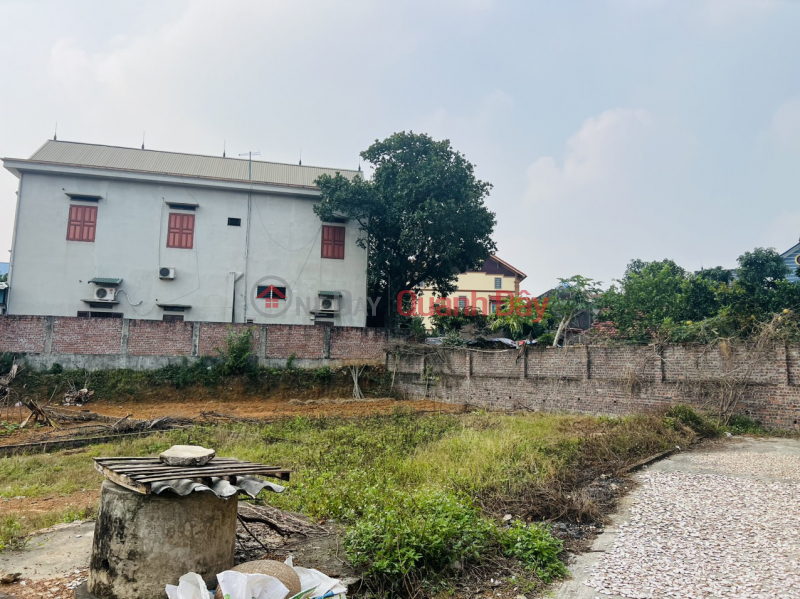 The owner needs to sell 195m2 of land in Vat Lai commune, Ba Vi, investment price Sales Listings