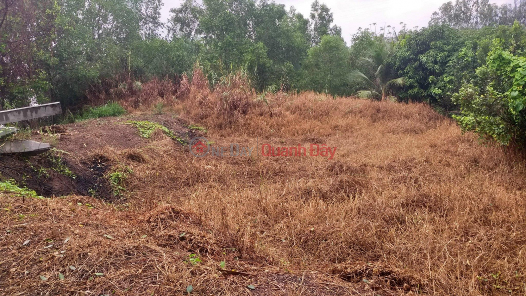 Owner Needs to Sell LAND Beautiful Location in Tan Thach Commune, Chau Thanh District, Ben Tre Vietnam, Sales, đ 3.7 Billion