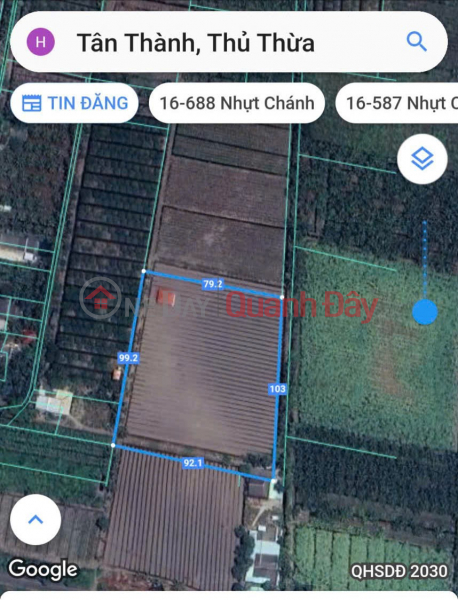 GREAT INVESTMENT OPPORTUNITY AT A GREAT PRICE - OWNER NEEDS TO SELL QUICKLY A PLOT OF LAND IN TAN THANH HAMLET, THU THUA COMMUNE, TAY NINH PROVINCE. | Vietnam, Sales, đ 3 Billion