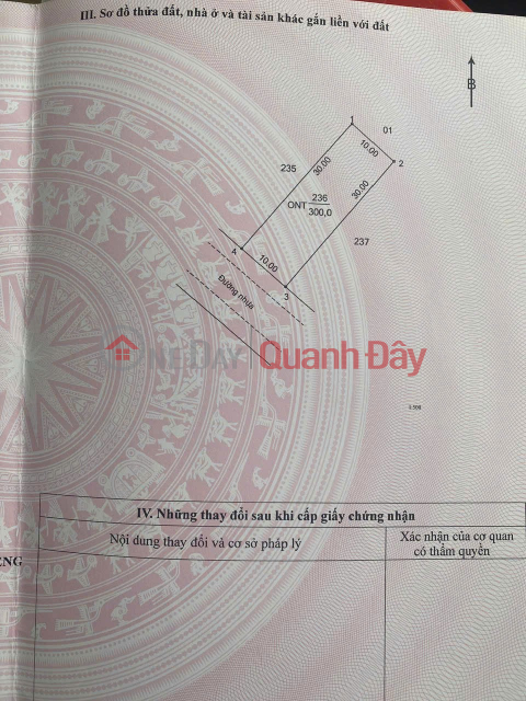 PRIME LAND - GREAT PRICE - Land for Sale in Minh Tân Resettlement Area, Dầu Tiếng, Bình Dương _0