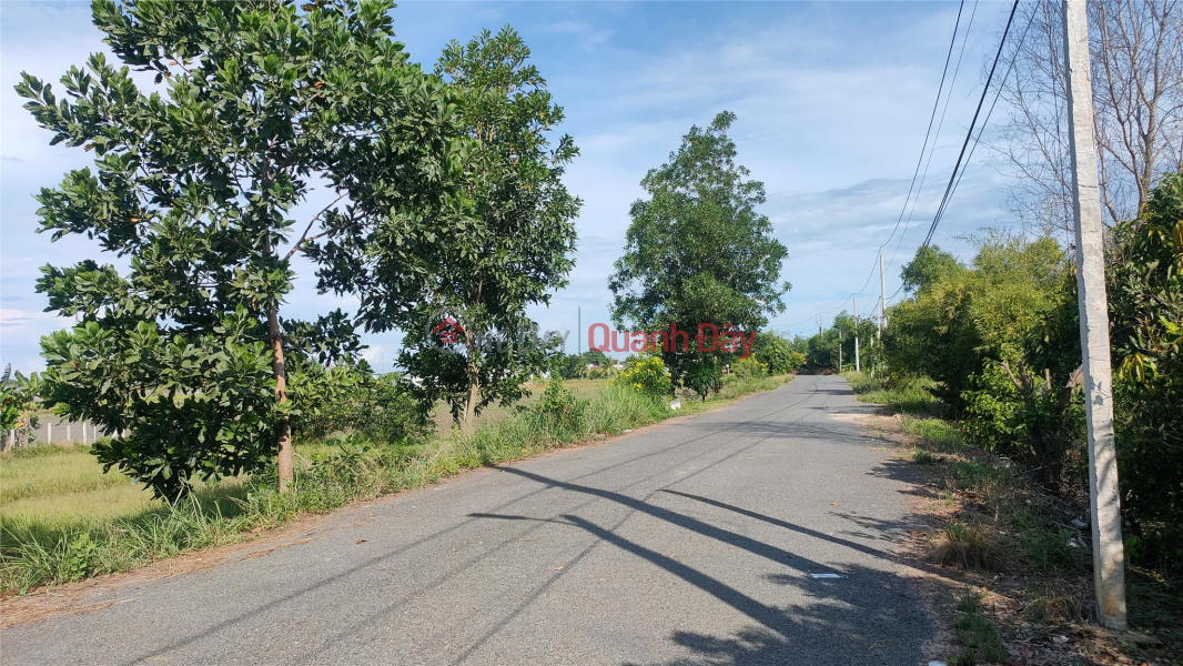 Buying sample land in Tay Ninh: Prime location, great potential Vietnam | Sales, đ 140 Million