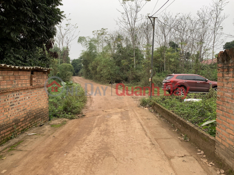 The owner needs to sell 02 plots of land in Phu Cat, Quoc Oai _0