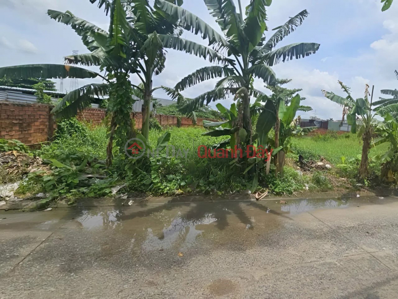 Property Search Vietnam | OneDay | Nhà ở, Niêm yết bán Đất Vuông đường xe tải 961m2 – Vườn Lài Q12