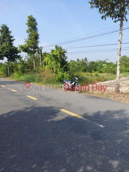 Property Search Vietnam | OneDay | Residential, Sales Listings BEAUTIFUL LAND - GOOD PRICE - OWNER needs to sell a plot of land in a beautiful location in Chau Thanh District, Long An
