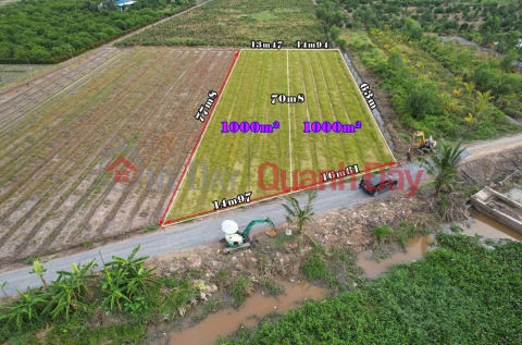 Garden land with river view, F0, only 2 lots in Binh Duc commune - Ben Luc - Long An _0