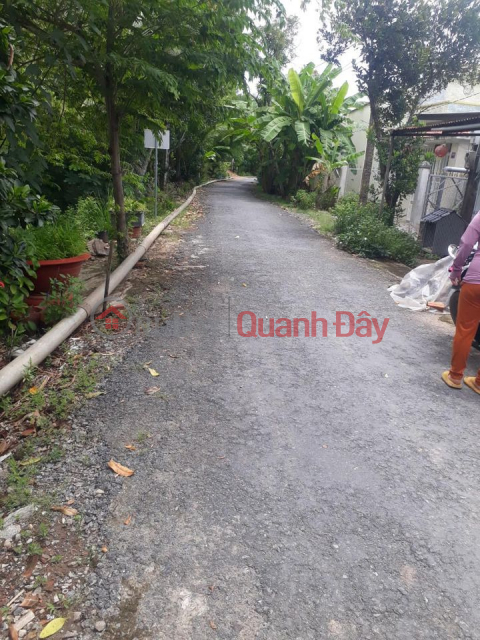 Land for sale in Tinh Thoi Commune, Cao Lanh City _0
