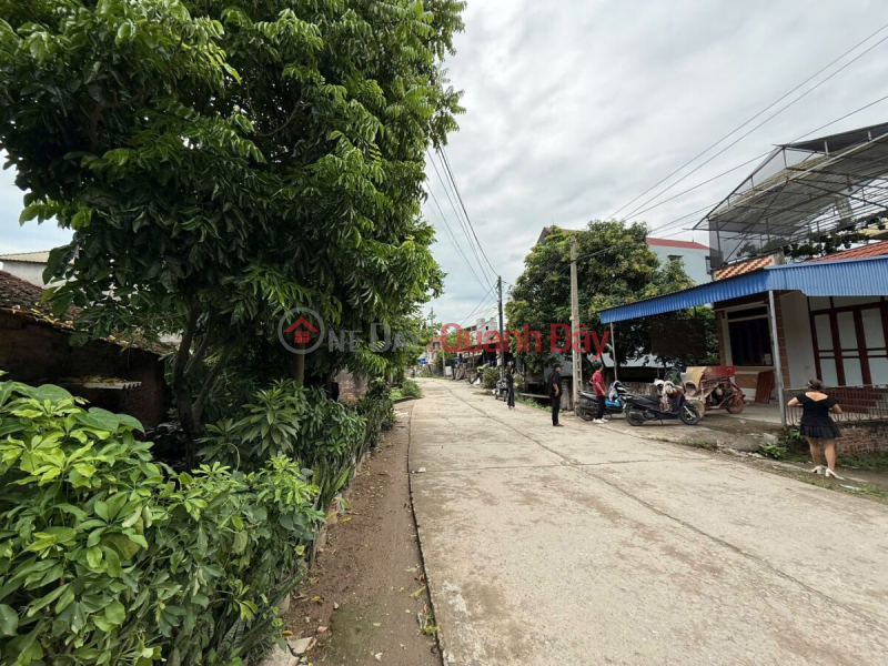 Property Search Vietnam | OneDay | Residential | Sales Listings, SUPER PRODUCT 100M MAIN BUSINESS AXIS IN THUONG VUC-CHUONG MY-HANOI