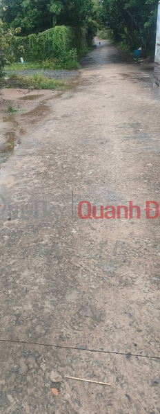 Property Search Vietnam | OneDay | Residential, Sales Listings | OWNER Needs To Sell Land Plot Quickly Prime Location In Thoi Thuan - Thoi Son - My Tho City - Tien Giang