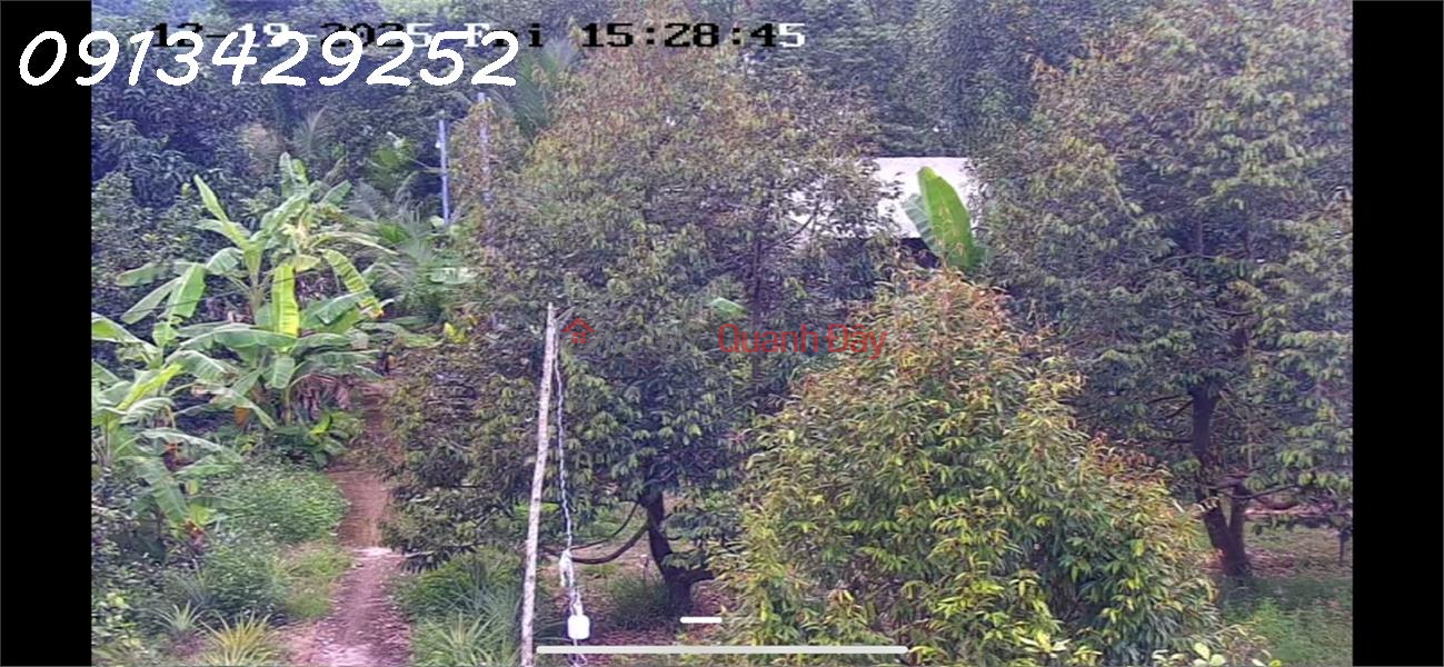 Urgent sale of a plot of land located in a densely populated residential area, at an excellent price considering its potential., Vietnam Sales đ 7.6 Billion