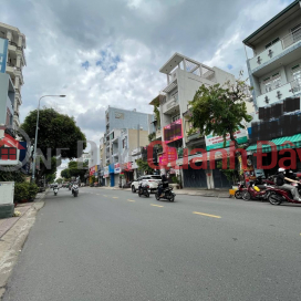 Bán nhà 84m2 - Mặt Tiền KD Đường Trương Vĩnh Ký, Tân Phú _0