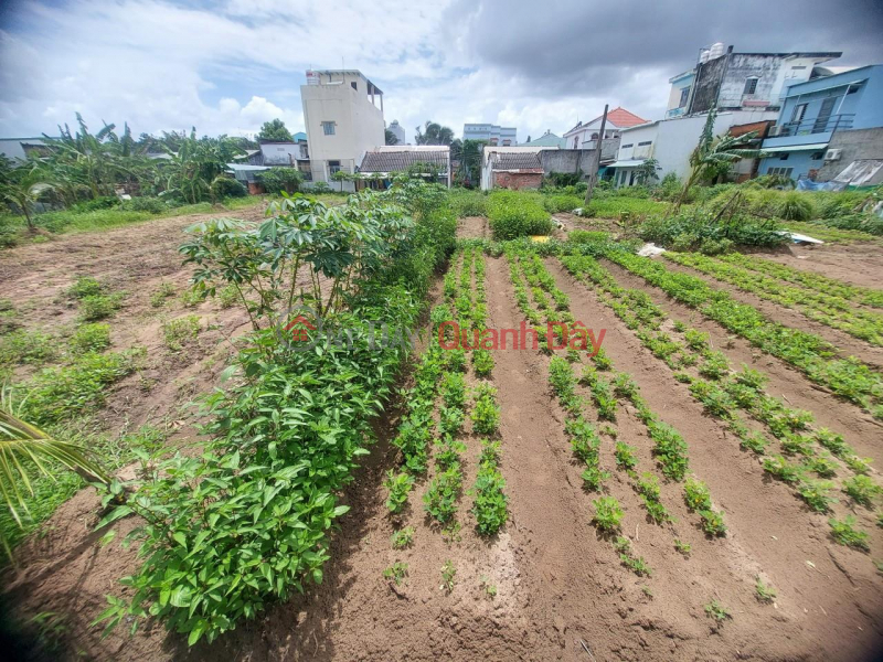 GENERAL FOR SALE QUICKLY Land Lot Beautiful Location Near Mai Luong Villa, Long Ho District, Vinh Long Sales Listings