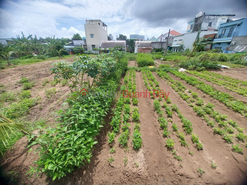 CHÍNH CHỦ CẦN BÁN NHANH Lô Đất Địa Thế Đẹp Gần Biệt Thự Mai Lương, Huyện Long Hồ, Vĩnh Long Niêm yết bán