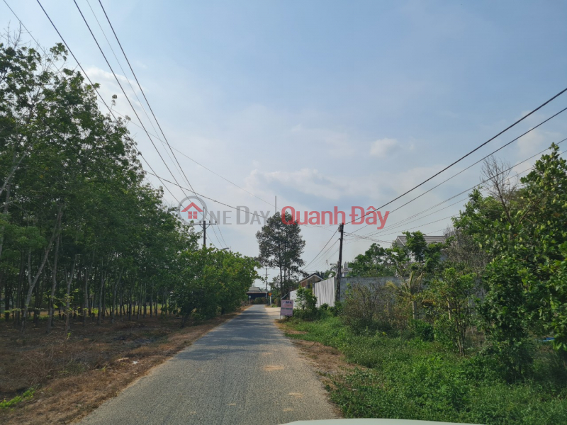 Agricultural land for sale in front of Loc Binh street, Duc Hoa, Long An, Vietnam Sales, đ 55 Billion