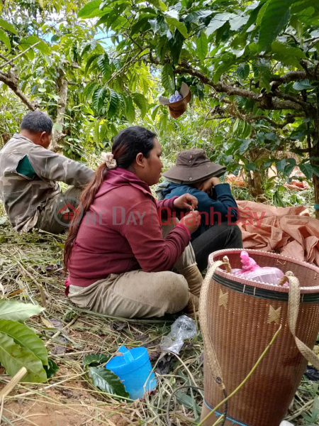 BEAUTIFUL LAND BY OWNER - GOOD PRICE - Ia Bang Commune, Dak Doa District, Gia Lai Province | Vietnam Sales | đ 850 Million