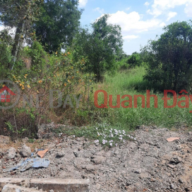 OWNER NEEDS TO FAST SELL Lot Of Land, Beautiful Location In Binh Tinh Commune, Tan Tru, Long An _0