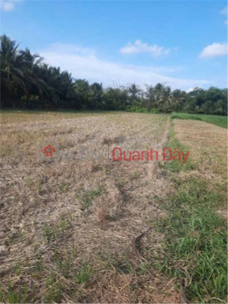 , Please Select | Residential Sales Listings đ 525 Million