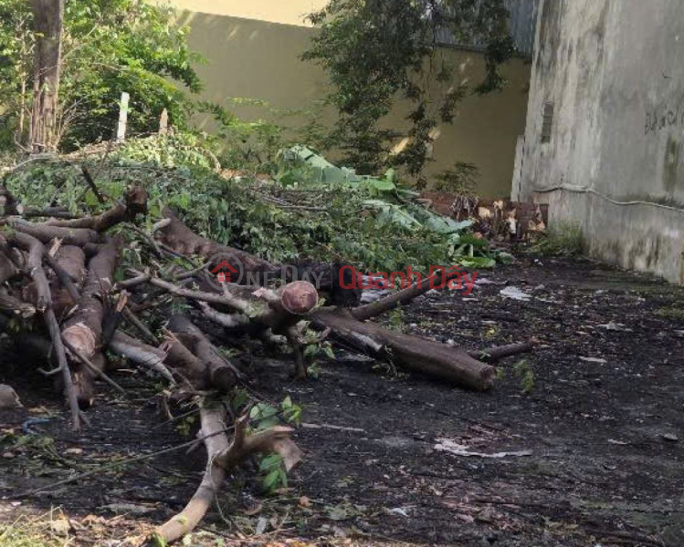 Square Land SHR Full TC HXH 219m2 – Dang Thuc Bay Hoc Mon SS | Vietnam Sales đ 6.5 Billion