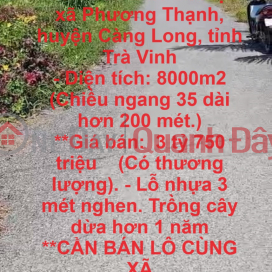 HOT HOT ! - Chính Chủ Cần Bán 2 Lô Đất tại xã Phương Thạnh, huyện Càng Long, tỉnh Trà Vinh _0