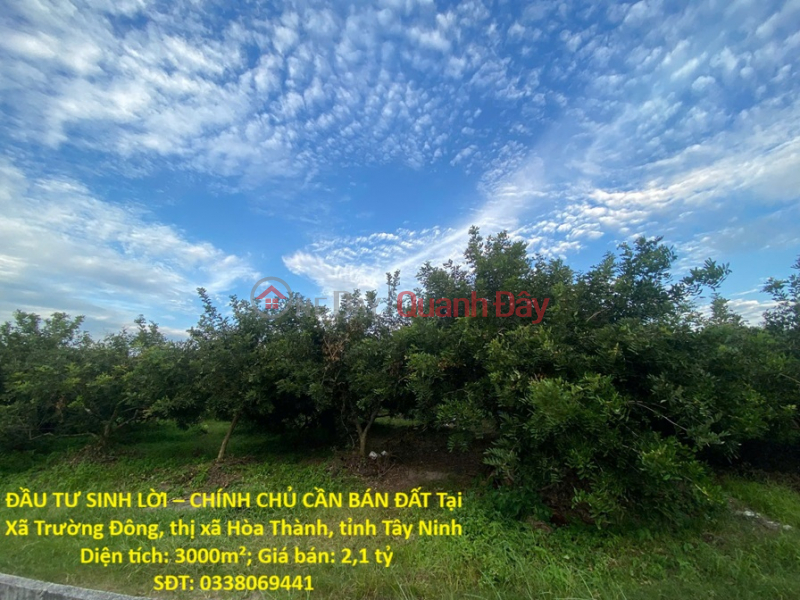 ĐẦU TƯ SINH LỜI – CHÍNH CHỦ CẦN BÁN ĐẤT Tại Xã Trường Đông, thị xã Hòa Thành, tỉnh Tây Ninh Niêm yết bán
