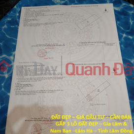 ĐẤT ĐẸP – GIÁ ĐẦU TƯ – CẦN BÁN GẤP 3 LÔ ĐẤT ĐẸP – Gia Lâm & Nam Ban –Lâm Hà – Tỉnh Lâm Đồng _0
