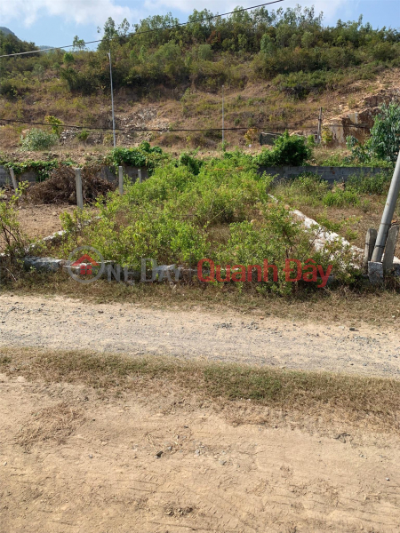 OWN A LOT OF LAND NOW IN PHUOC DONG, NHA TRANG - Extremely Cheap Price Sales Listings