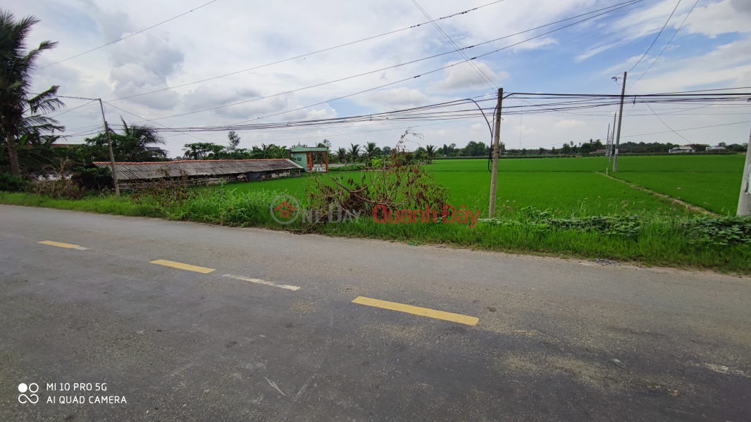 Urgent sale of rice plot to transfer land in front of Provincial Road for 130 million m | Vietnam | Sales ₫ 4.16 Billion