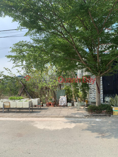 Beautiful Land - Good Price Owner Needs to Sell Land Plot Quickly in My Hanh Nam, Duc Hoa. _0