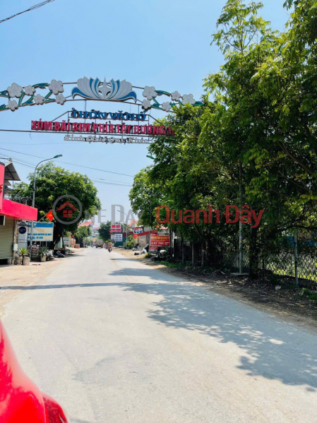 Trinh Xa, Chi Dao, Van Lam auction subdivision for sale, cheapest price on the market Sales Listings