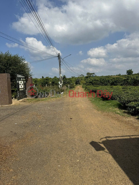 PRIME LAND – GREAT PRICE – OWNER URGENTLY SELLING in Loc Thang Town, Bao Lam District, Lam Dong Province _0