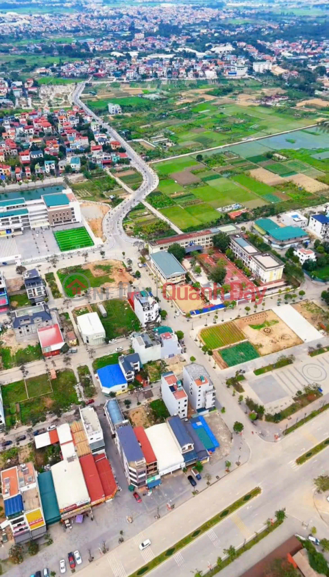 AUCTION LAND X6 – CAN KHE, NGUYEN KHE, DONG ANH _0
