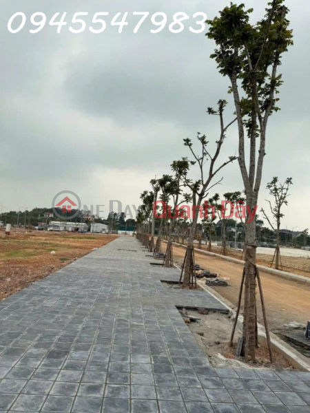 SUPER PROJECT HAWEE PARKLAND CAO THUONG GREEN URBAN AREA THE MOST BEAUTIFUL LOCATION IN BAC GIANG Vietnam Sales, đ 2.4 Billion