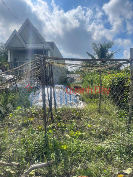 Property Search Vietnam | OneDay | Residential, Sales Listings, Owner Needs to Sell Land Lot in Kim Cang 1 Hamlet, Binh Thanh, Thu Thua, Long An