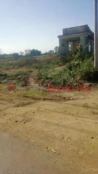 FOR SALE 2.3ha LAND, 121m FRONTAGE OF INTER-COMMUNE ROAD IN DINH QUAN, DONG NAI Sales Listings