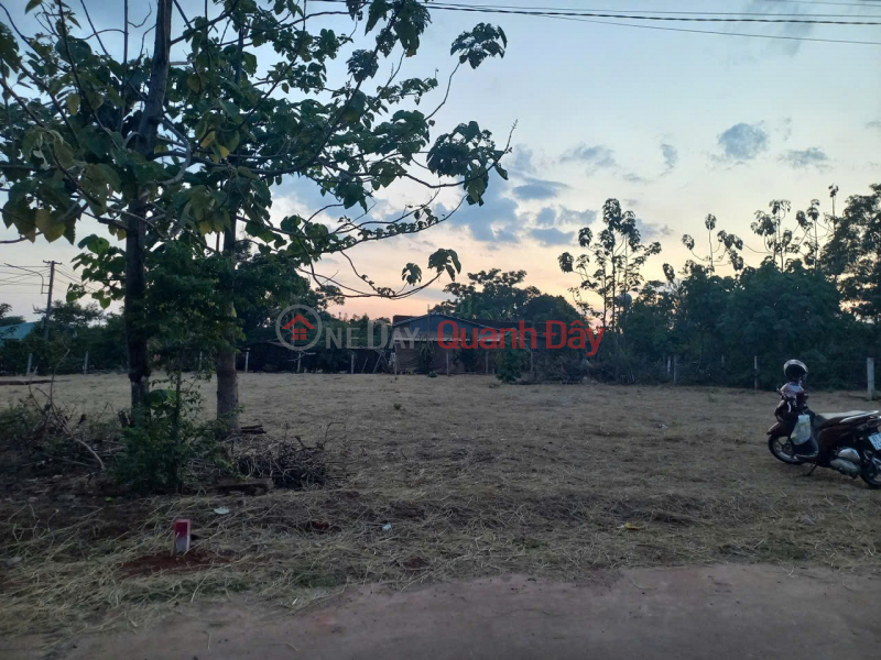 đ 300 triệu ĐẤT ĐẸP- GIÁ ƯU ĐÃI CHÍNH CHỦ BÁN NHANH LÔ ĐẤT TẠI TP Plieku tỉnh Gia Lai