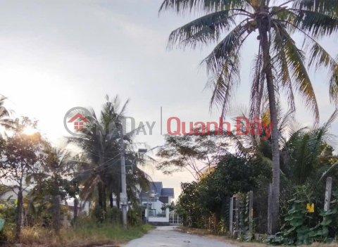 Owner Needs to Sell a Land Lot in a Prime Location in Thanh Dien, Chau Thanh, Tay Ninh - EXTREMELY PREFERENTIAL PRICE _0