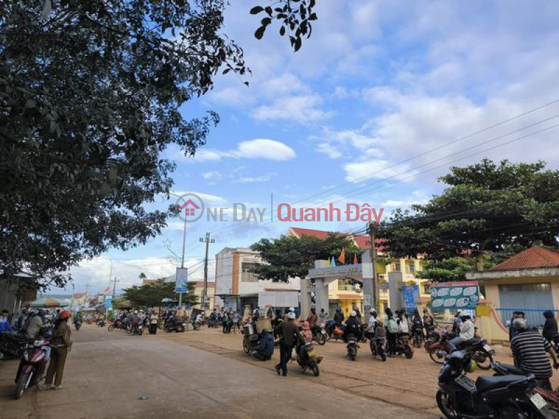 Property Search Vietnam | OneDay | Sales Listings | Owner Needs To Sell 3 Lots Near Primary School (National Standard) Phu Loc - Dak Lak