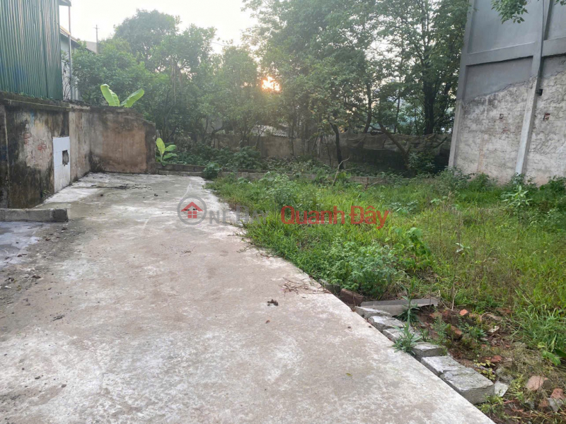 Property Search Vietnam | OneDay | Residential Sales Listings Beautiful land - good price Owner needs to quickly sell a beautiful plot of land in Thuong Tin district, Hanoi City