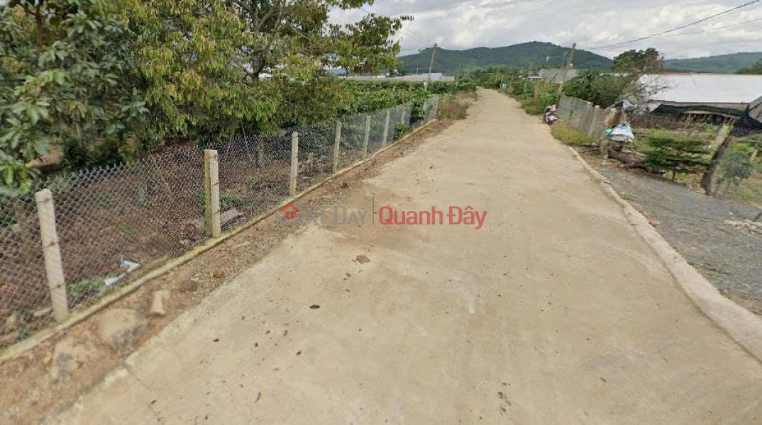 Property Search Vietnam | OneDay | Nhà ở, Niêm yết bán, Bán đất 115m2 An Hiệp Liên Hiệp Đức Trọng Lâm Đồng Giá Chỉ 900 triệu