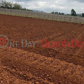 ĐẤT ĐẸP - GIÁ TỐT - CHÍNH CHỦ CẦN BÁN NHANH LÔ ĐẤT Xã N'Thôn Hạ, Đức Trọng, Lâm Đồng _0