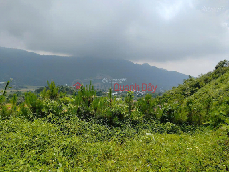 Property Search Vietnam | OneDay | Residential, Sales Listings CC sells the most beautiful resort land in Tien Xuan: 20,000m² (residential land, agricultural land, production forest land) only 14.5 billion